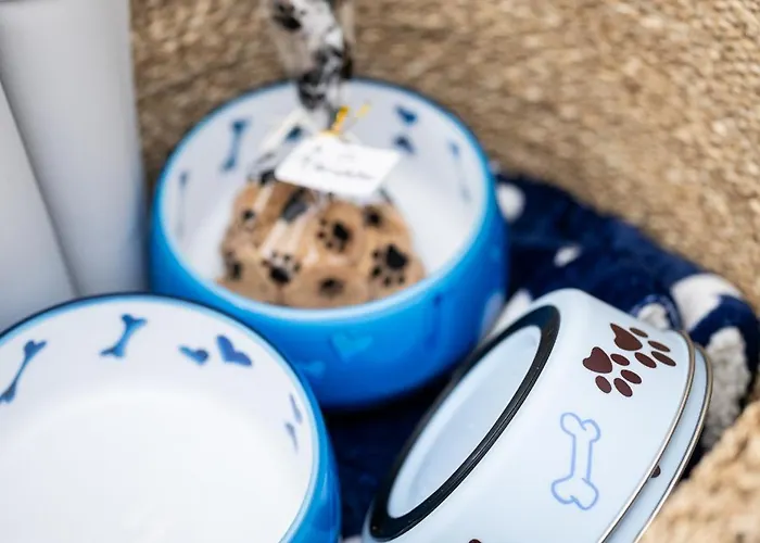 Διαμέρισμα Active Montgo Flat